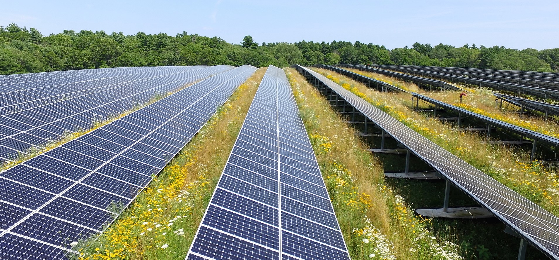 Massachusetts solar farm