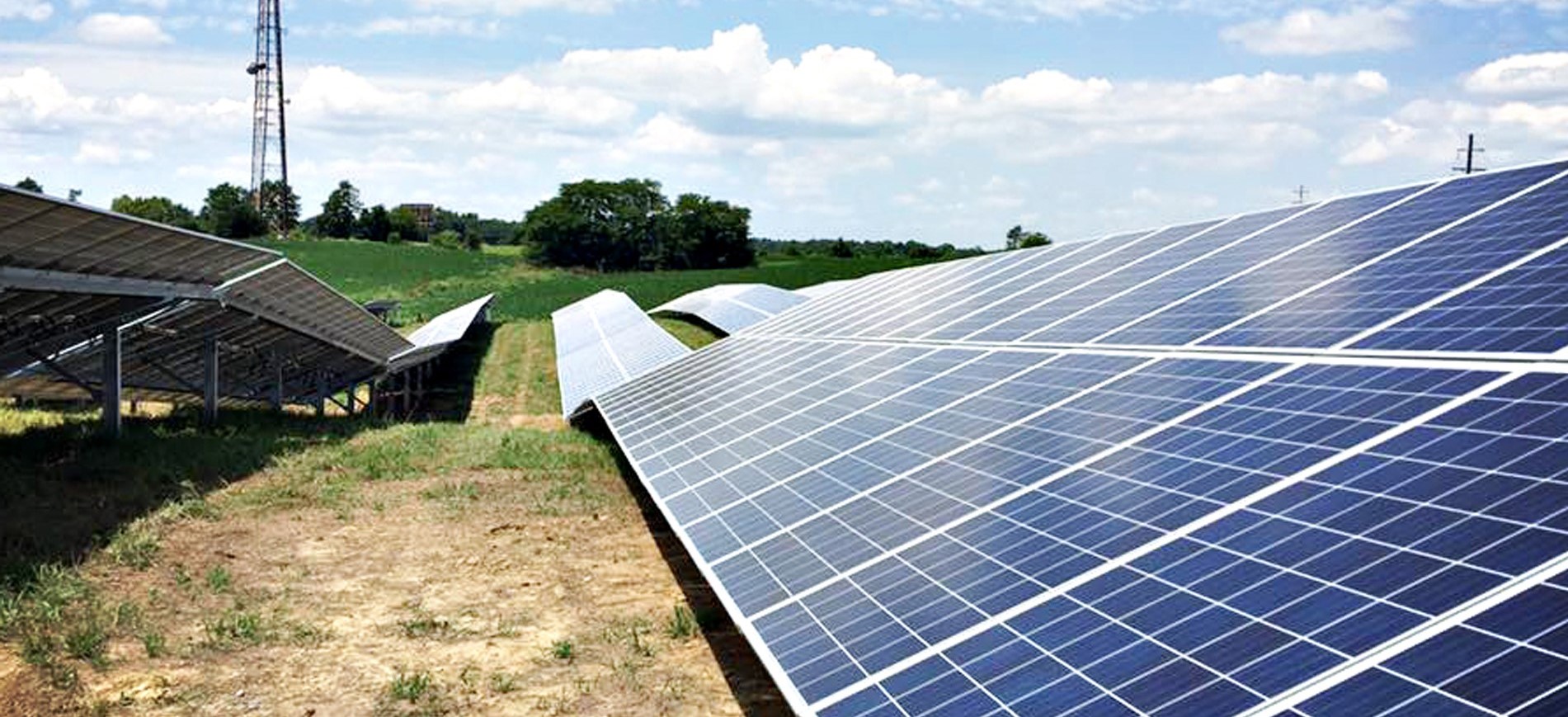utility-scale solar farm