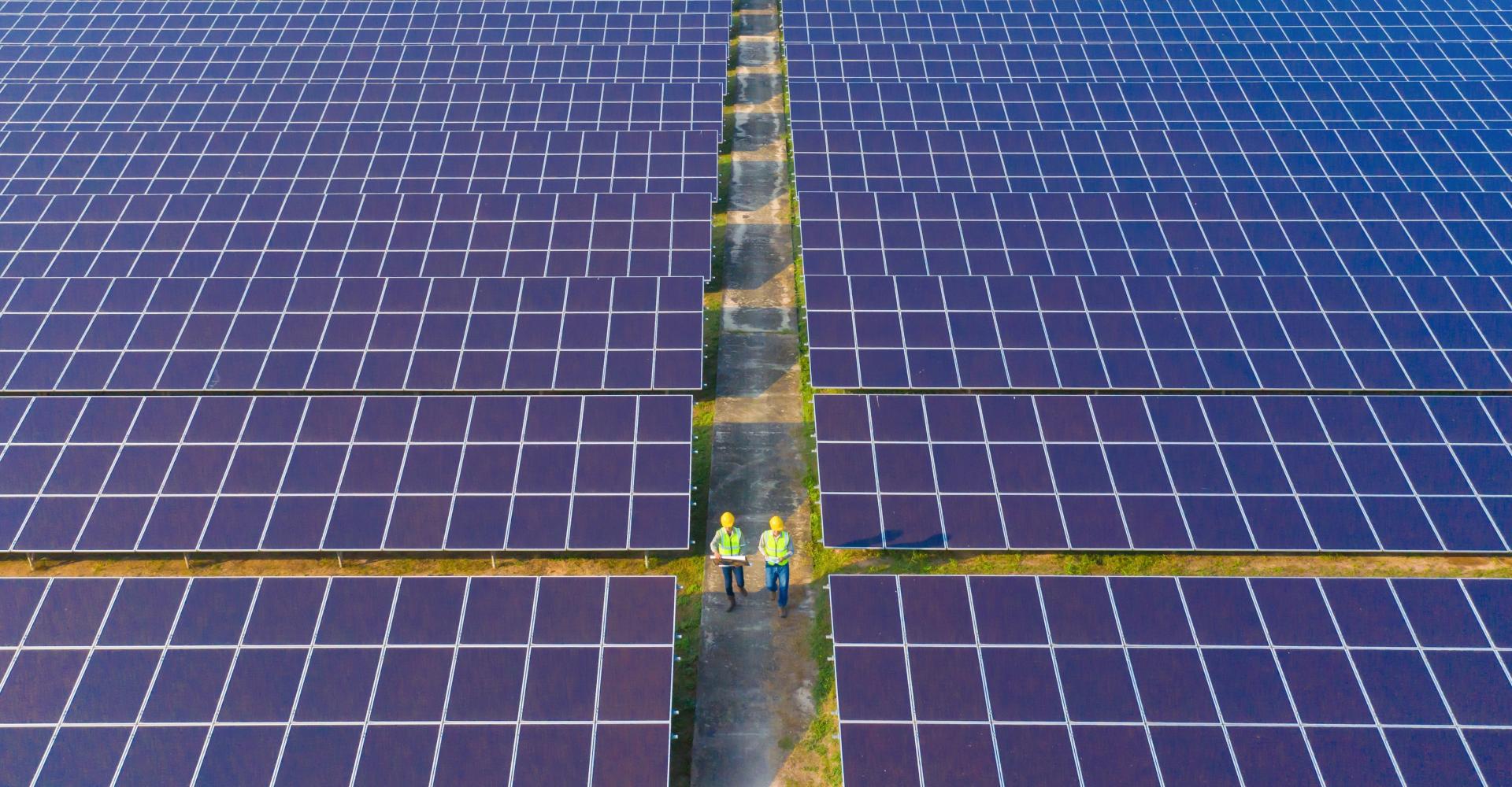 Workers walk through utility-scale solar array