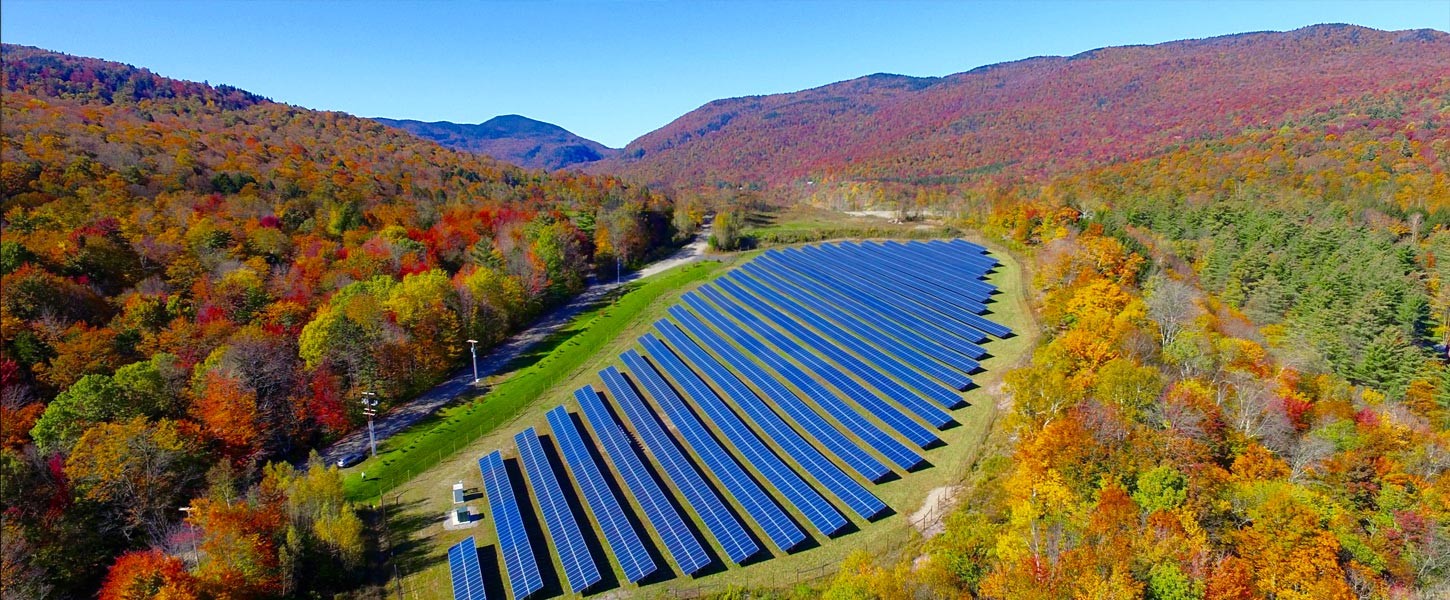 solar project colorful leaves