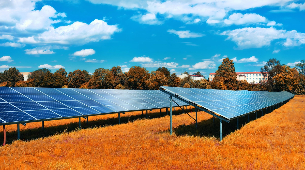 Solar panels on autumn grass
