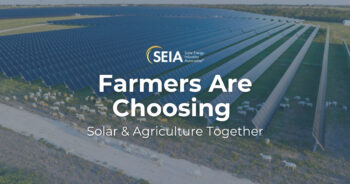 Farmers are choosing solar and agriculture together